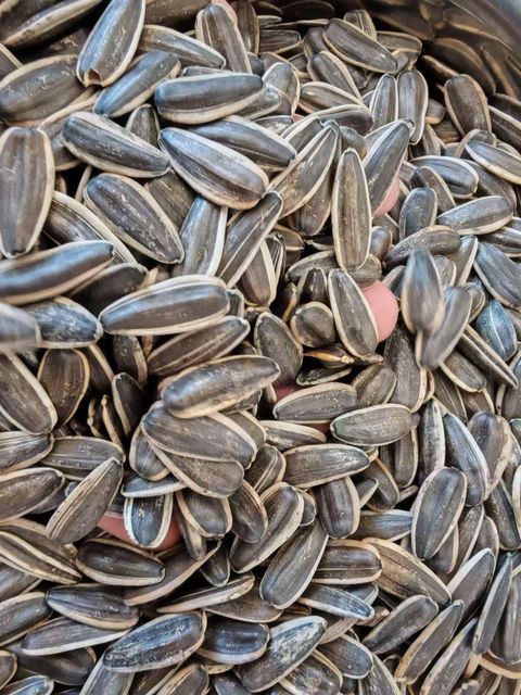 Sunflower Seeds
