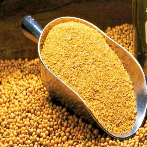 Meat & Bone Meal Feed Product 4