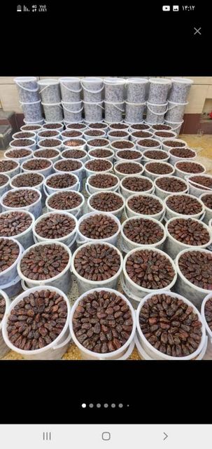 Iranian Dates