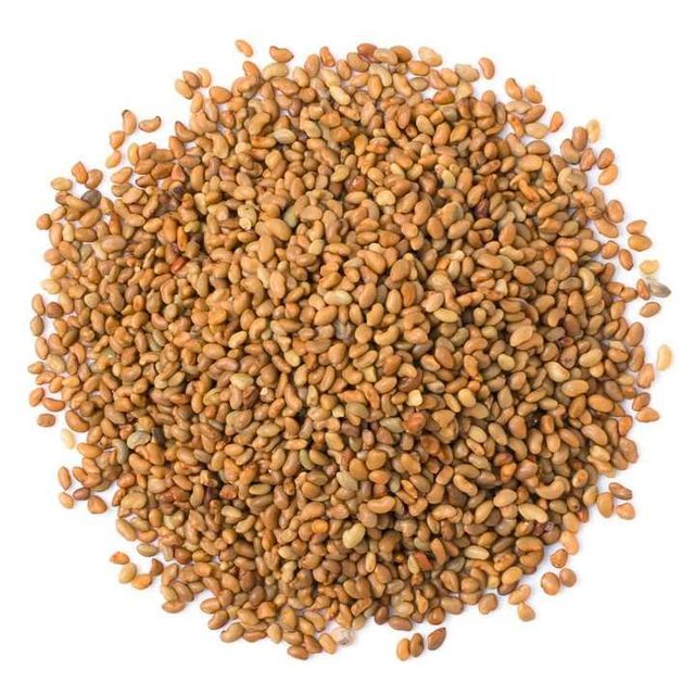 Certified Alfalfa Seed Packet