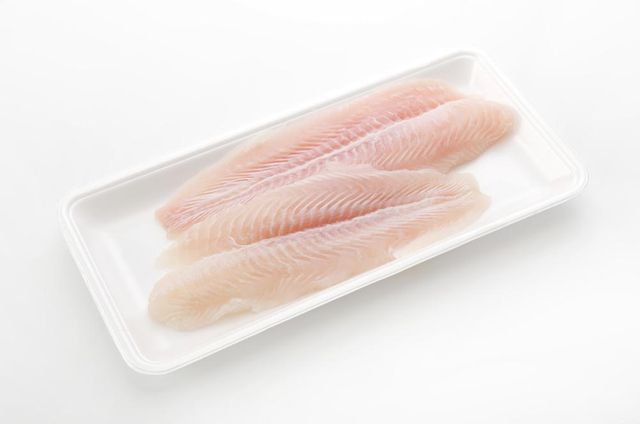Catfish Image 5