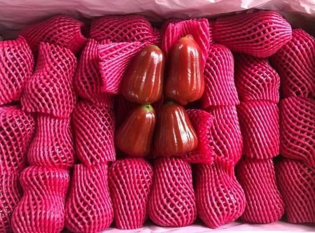 Rose Apple Image 2