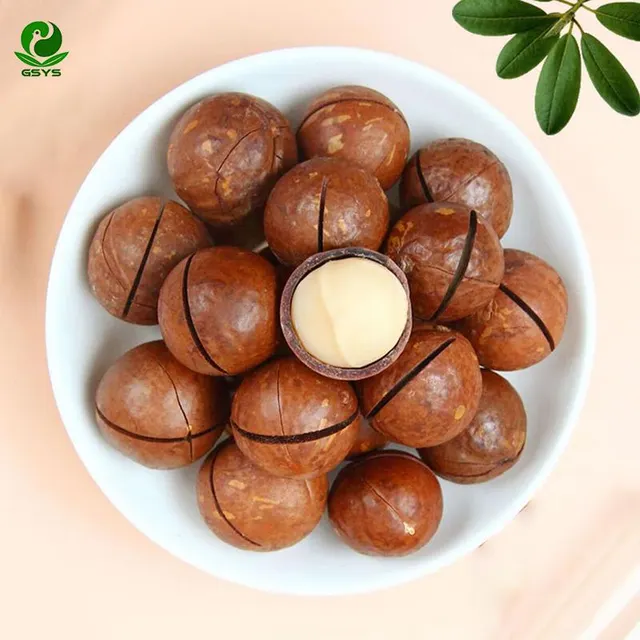 Premium whole macadamia nuts