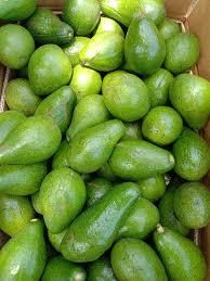 Fresh Avocado 2