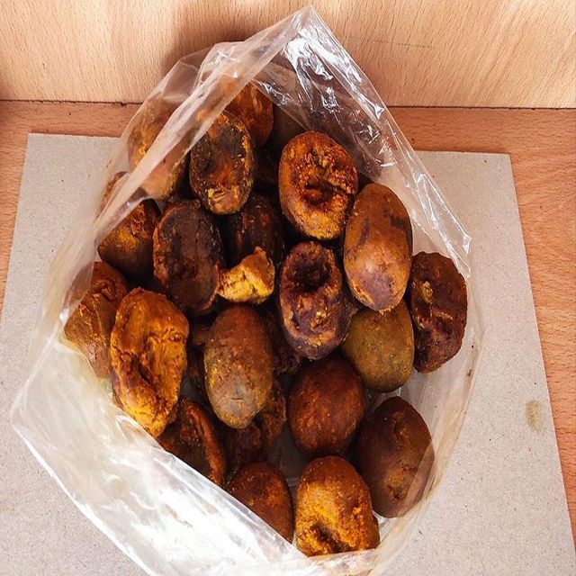 Ox Gallstone - Bladder Type - Cattle Source