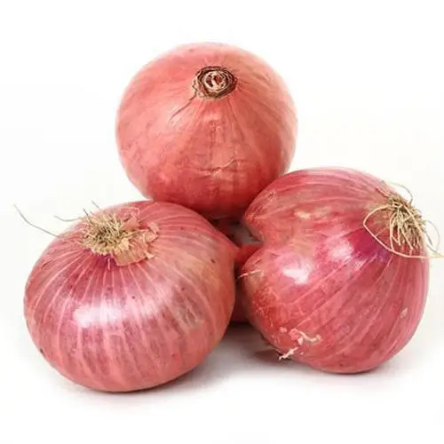 Fresh Yellow Onion