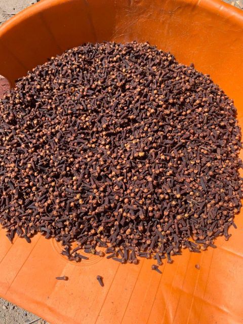 Close-up image of whole cloves Lalpari Indonesia