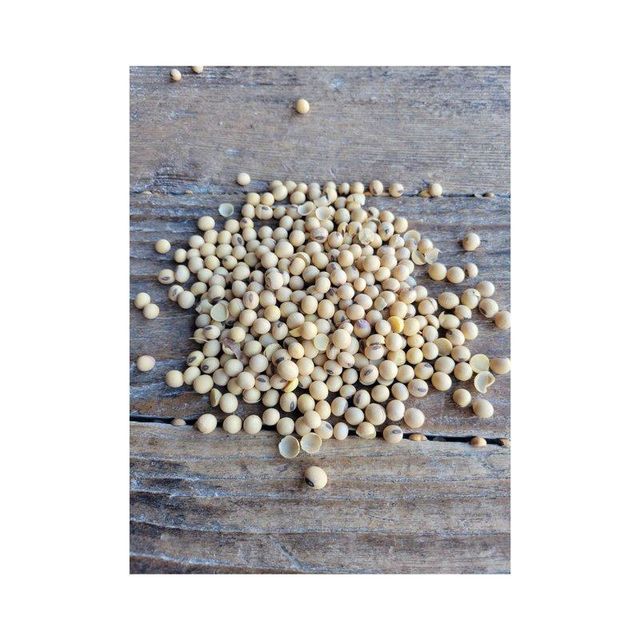 Fresh Yellow Soybeans in Packaging