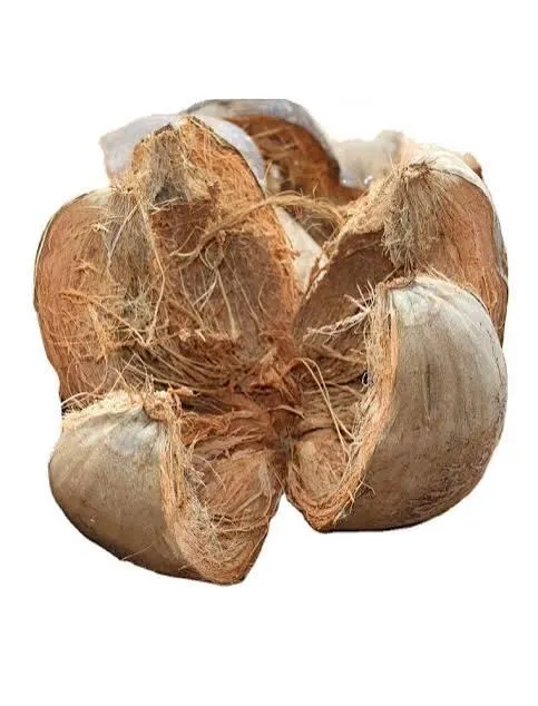 Wholesale Coconut Husk Product Image 4