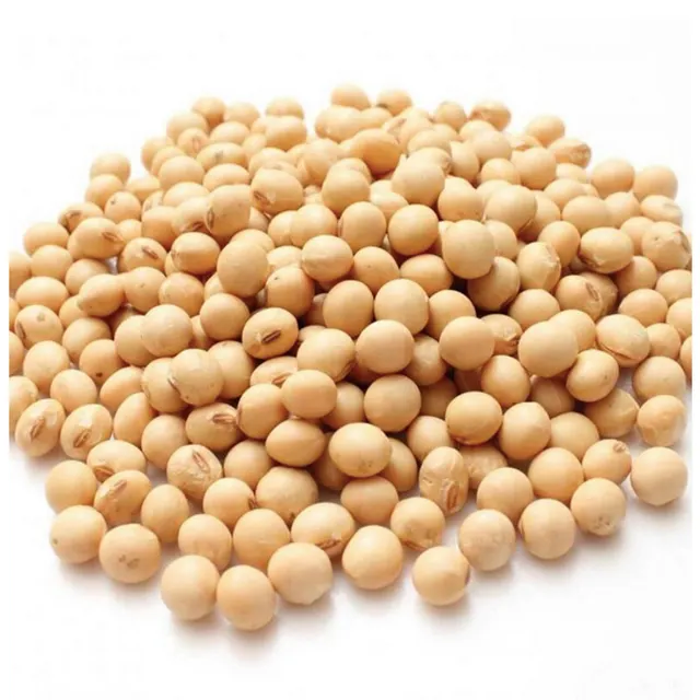 Soybean Product Image 1