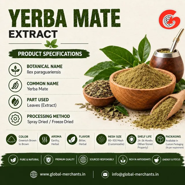 Premium Yerba Mate Extract Product