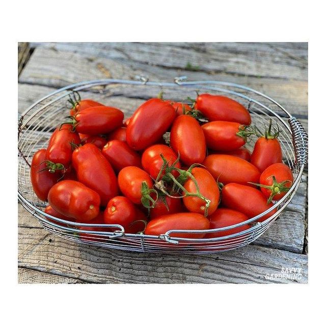 Tomato paste in premium packaging