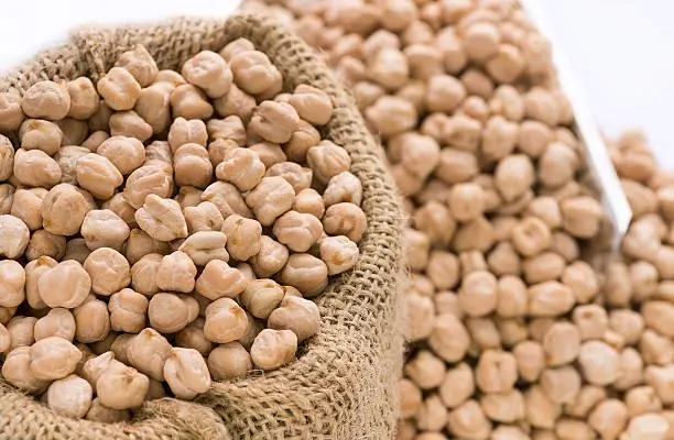 Kabuli Chickpeas - Bulk Export Style
