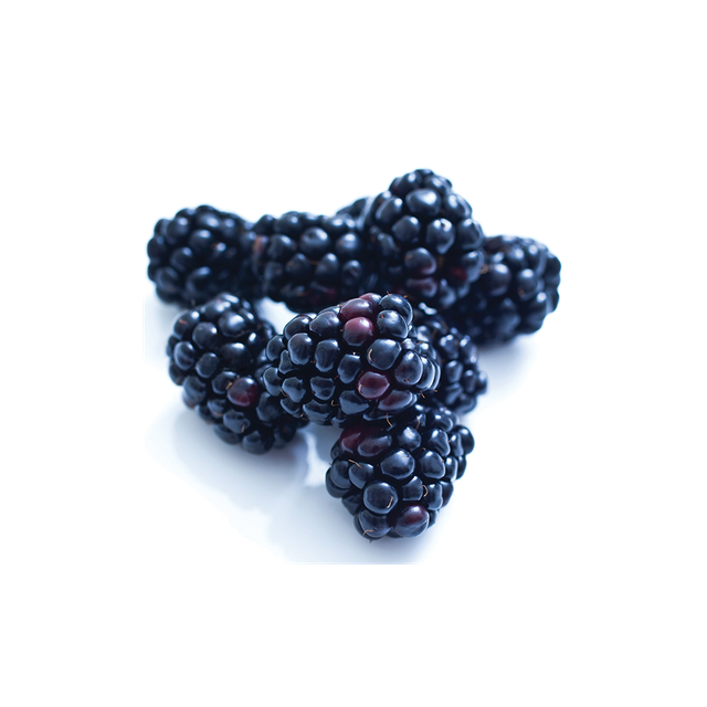 Fresh blackberries with a close-up view
