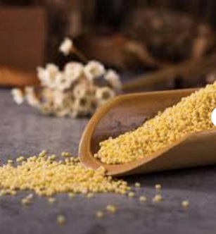 Yellow Millet Close-up