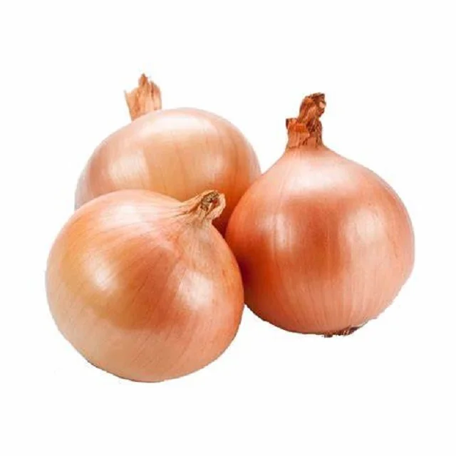 Fresh Yellow Onion