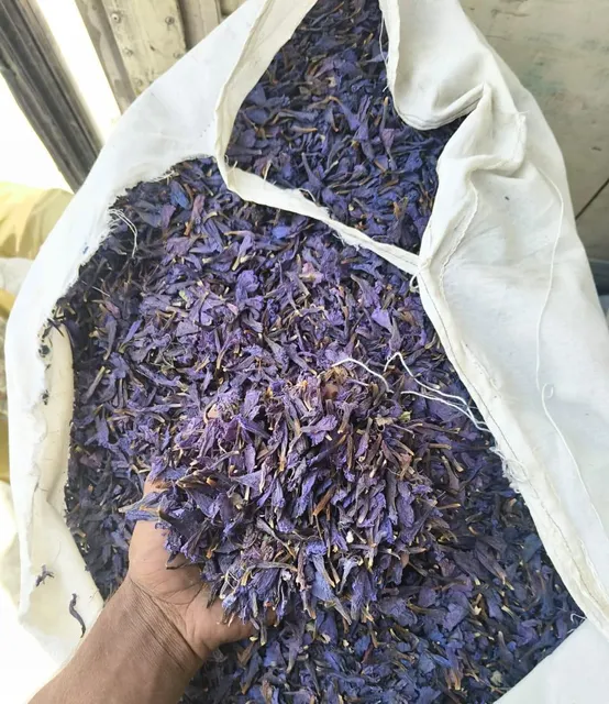 Premium Persian Dried Borage Flower - Gul e Gaozaban