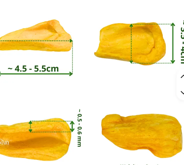 Close-up of Fried Jackfruit Snack Chips