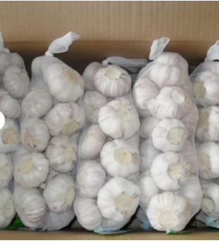 Fresh White Garlic