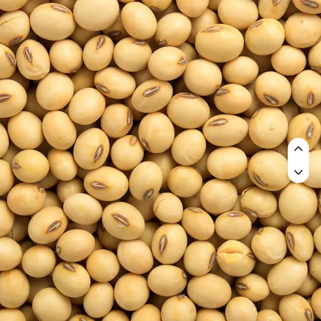 25kg bag of Organic Dried Soybeans