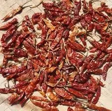 Dry red chili pods and powdered chili