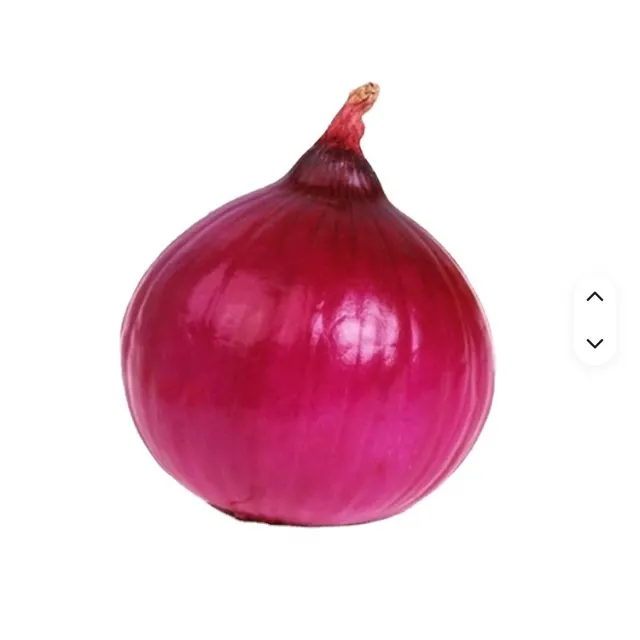 Red Onion Grade 1 Purple Onion Peeled Onion