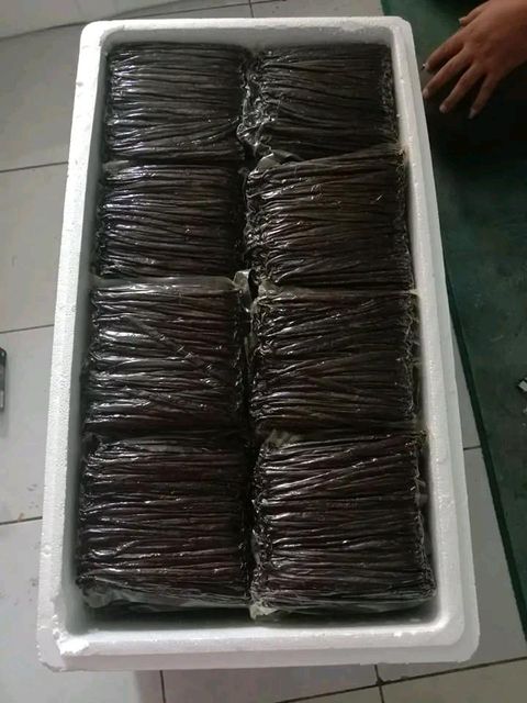 Vanilla Product 1