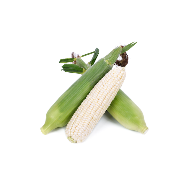 White Maize Image 1