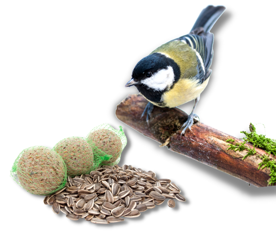 Fat Balls for Animals