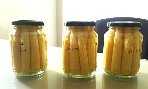 Baby Corn in Glass Jar