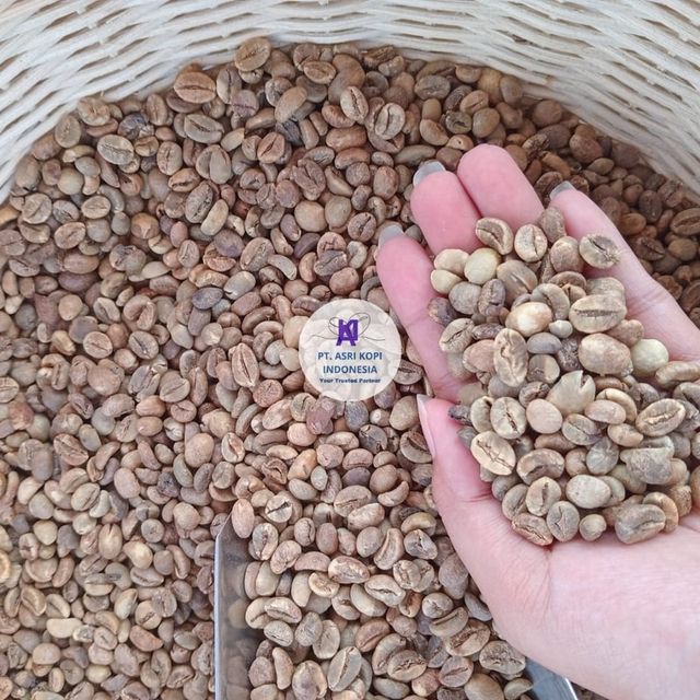 Robust Gayo Coffee Beans