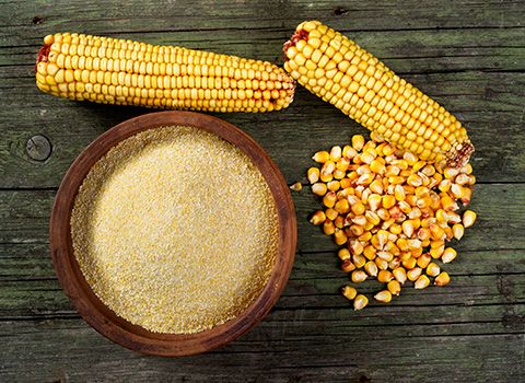 Corn DDGS Product