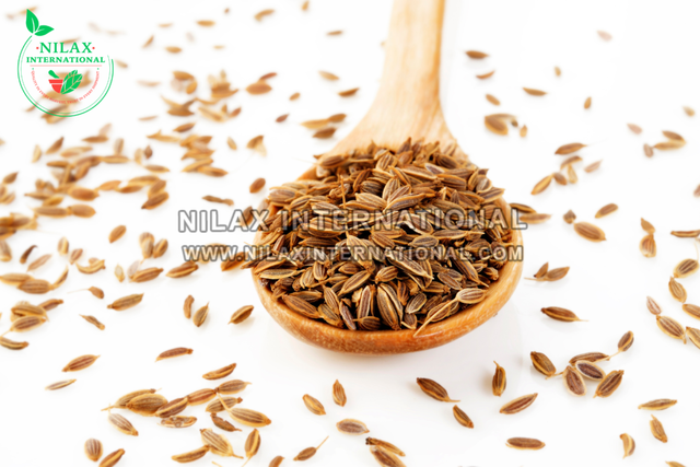 Dill Seeds by Nilax International