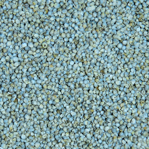 Raw Green Millet