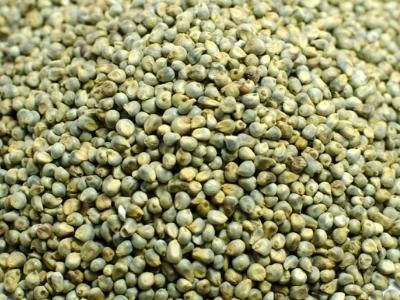 Green Millets
