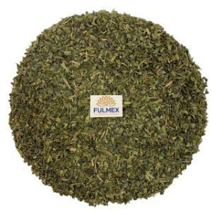 Green Tea PS