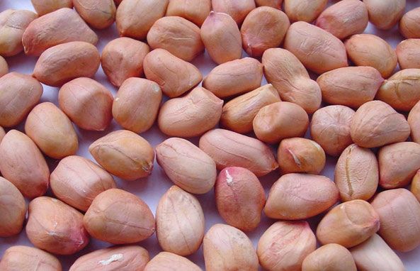 Peanut Products Image 1