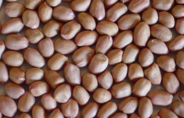 Peanut Products Image 2