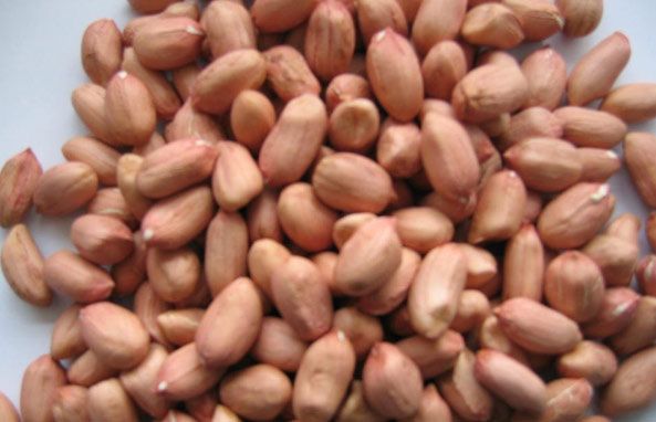 Peanut Products Image 3