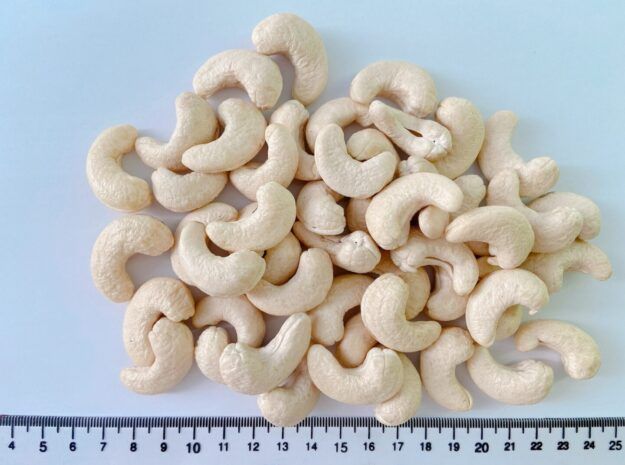 Vietnamese Cashew Nuts