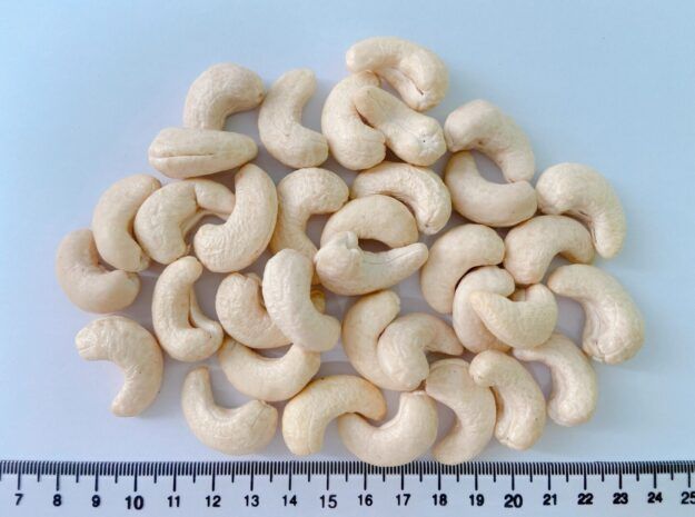 Vietnamese Cashew Nuts