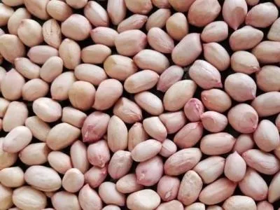 Java Peanuts