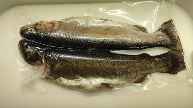 Fresh Trout Image 1