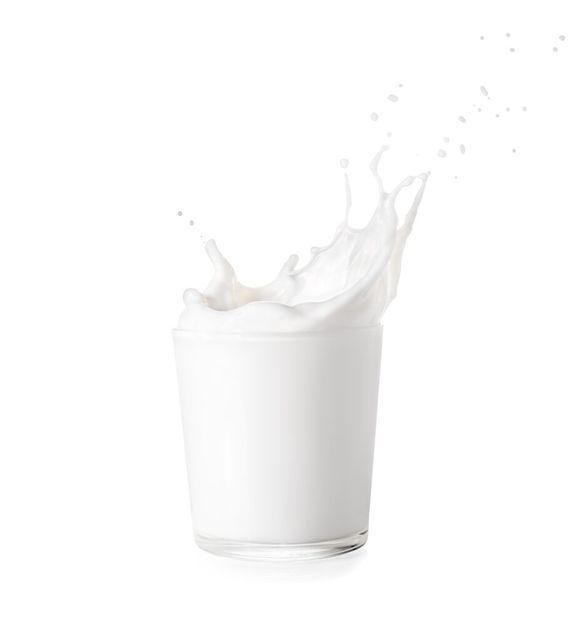 Skimmed Milk Powder