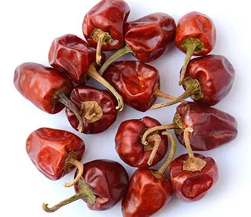 Mundu Chilli