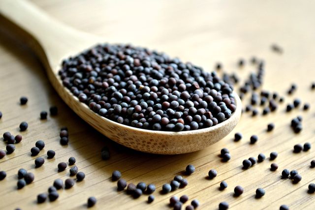 High Quality Mustard Seeds