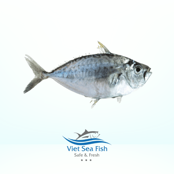 Pony Fish Product