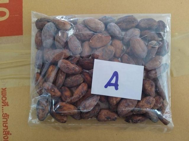 Dried Cocoa Beans