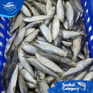 Sardine Fish Product 4
