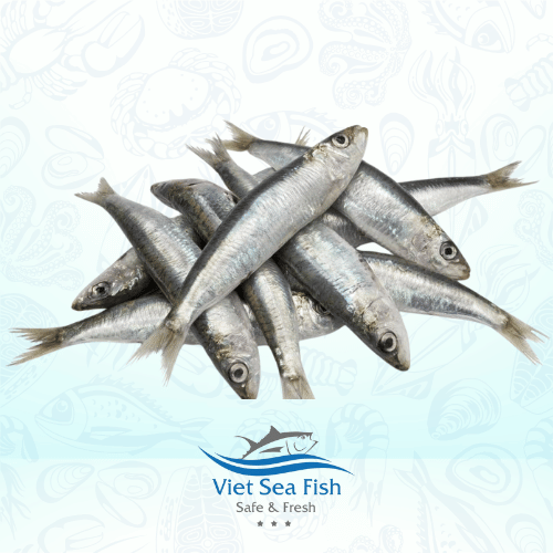 Sardine Fish Product 1